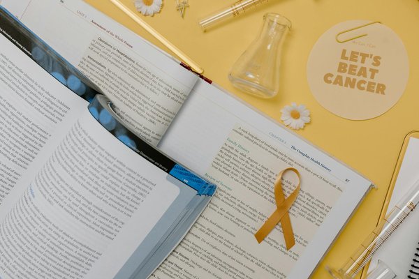 Découvrez les bienfaits du shilajit pur pour votre énergie